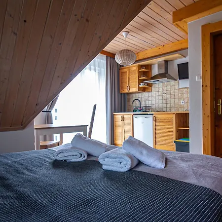 Aparthotel Pod Nosalem Zakopane Exterior photo